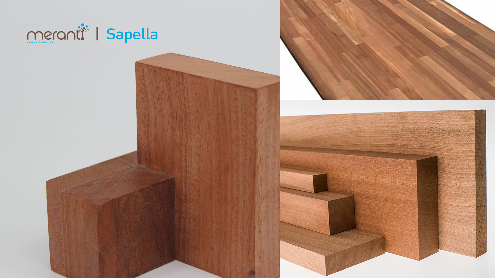 Sapelli